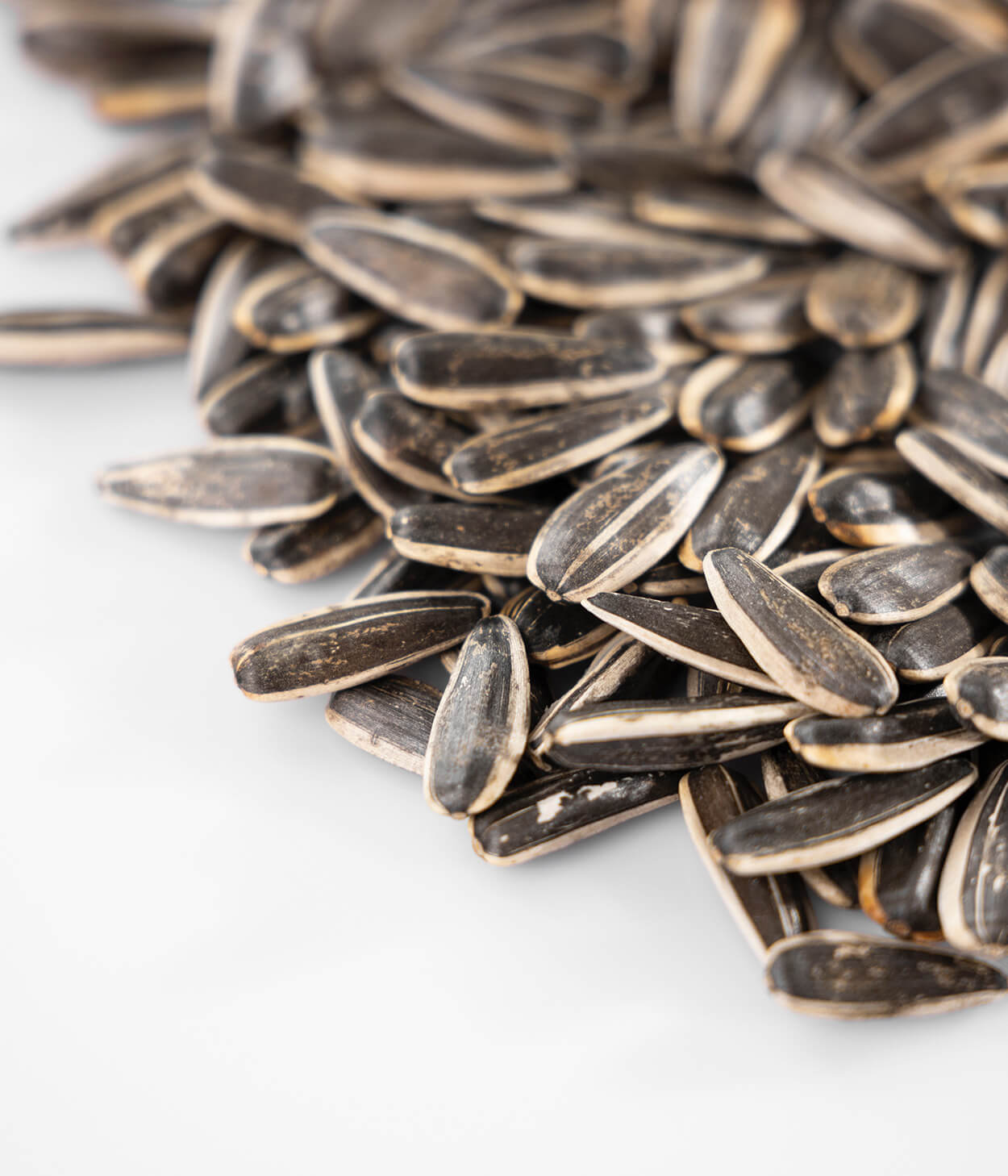 Sunflower Seeds